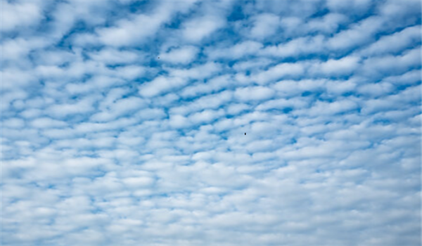 Cirrocumulus